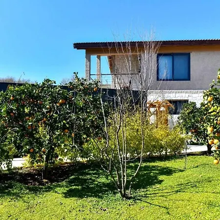 Gorgeous With Private Pool And Jacuzzi In Willa *